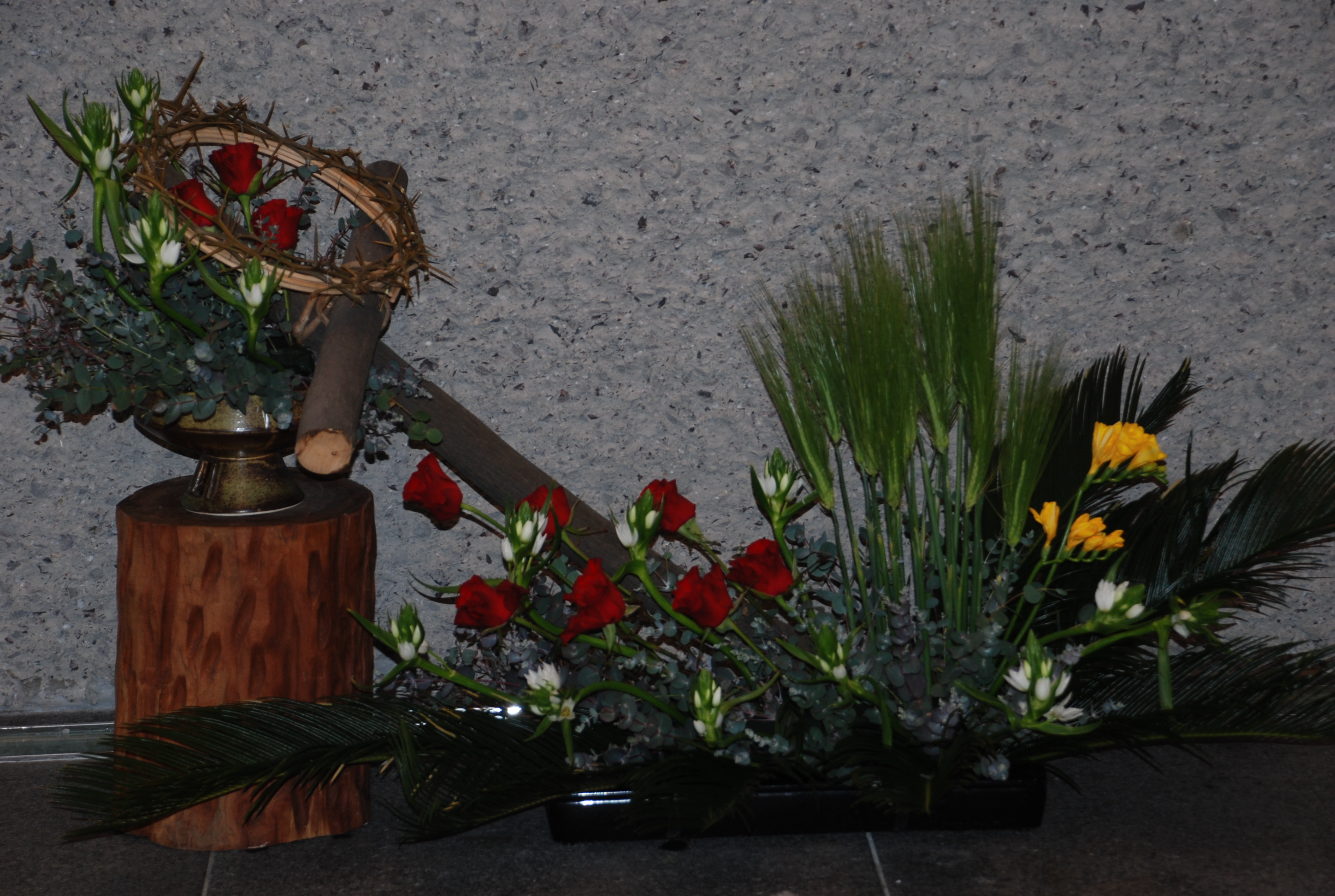 DSC_0725.JPG
