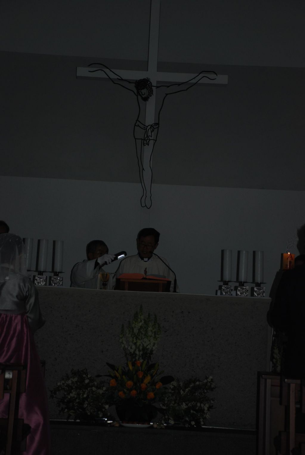 DSC_1007.JPG