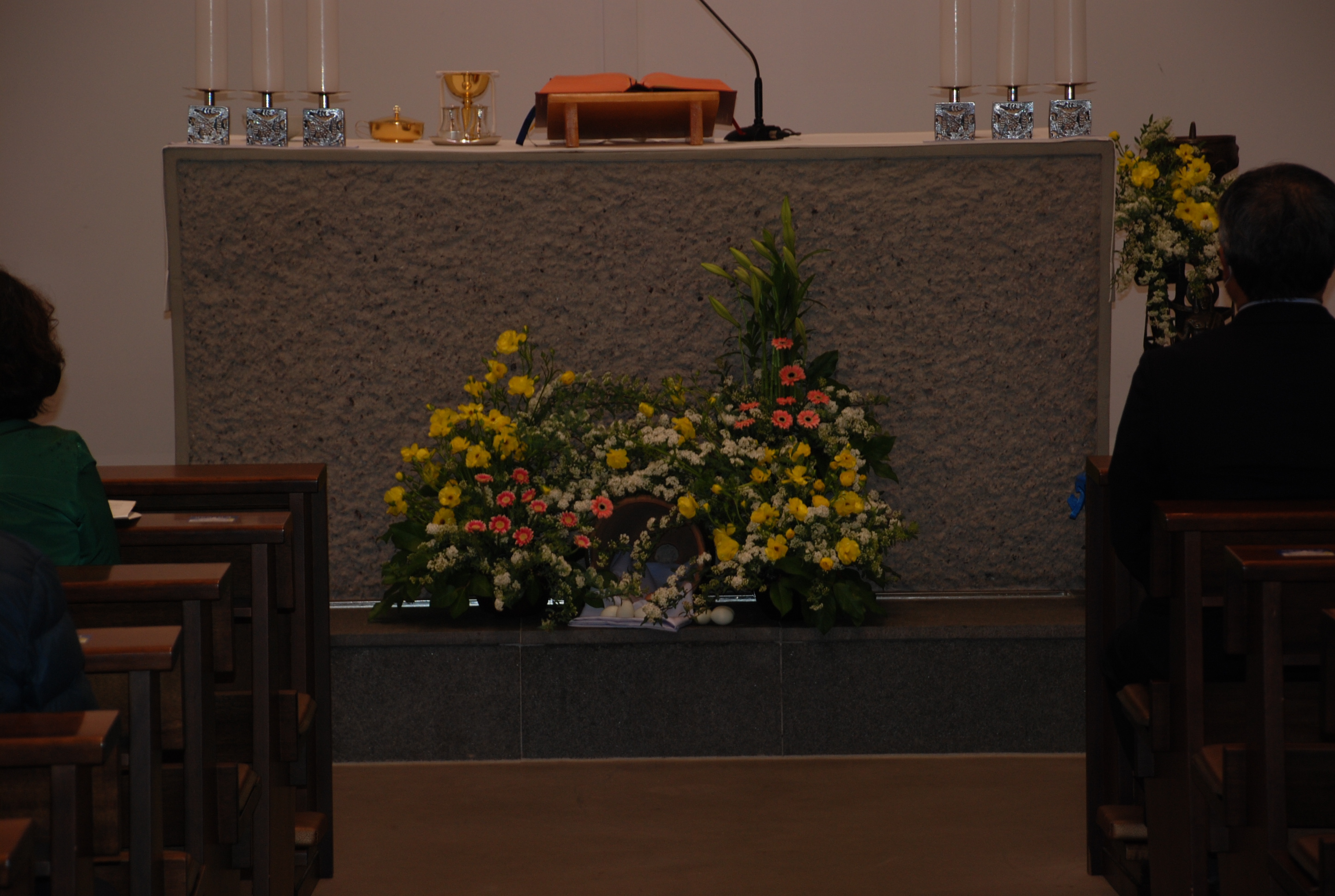 DSC_1985.JPG