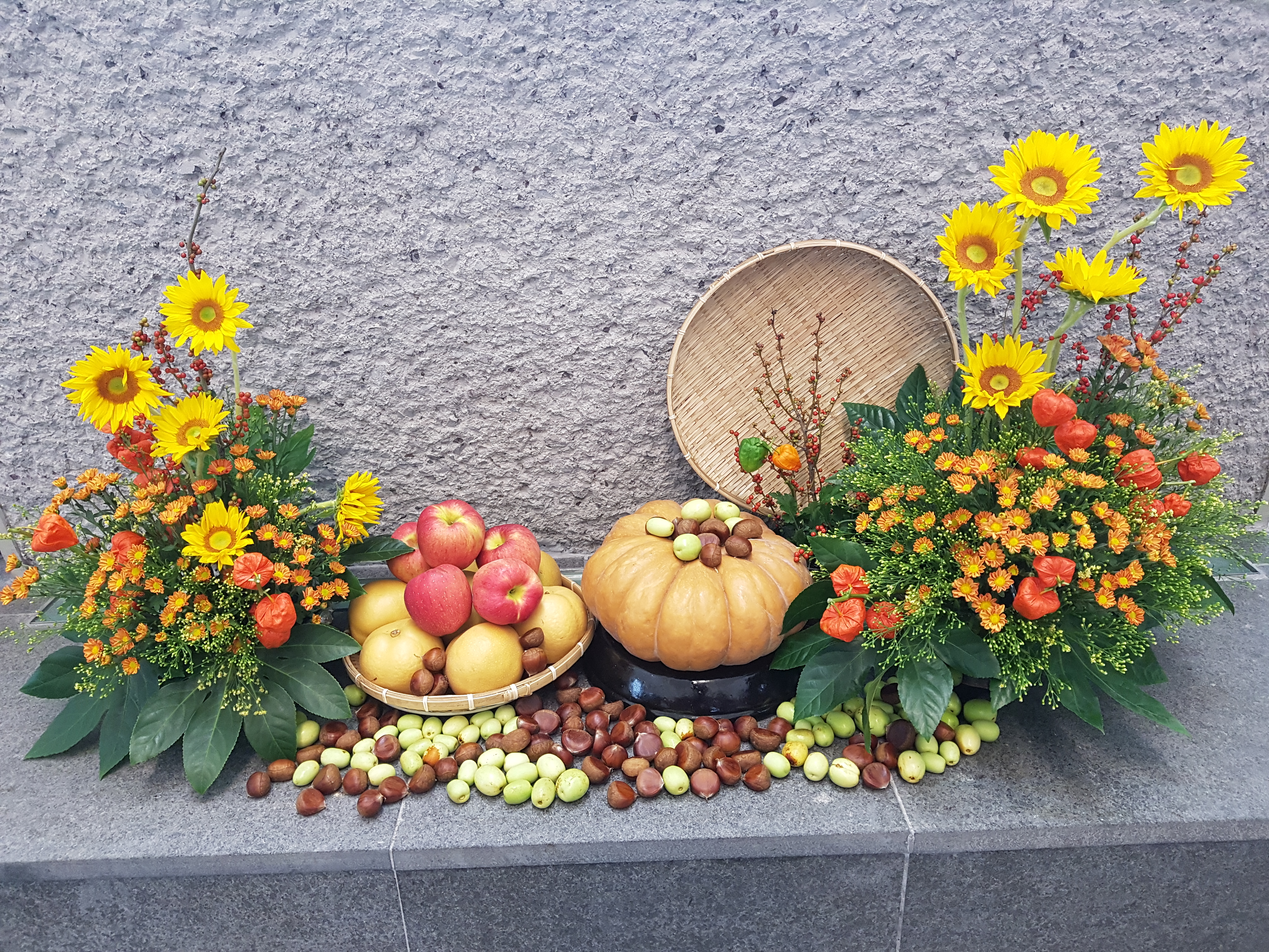 20190913_103911.jpg