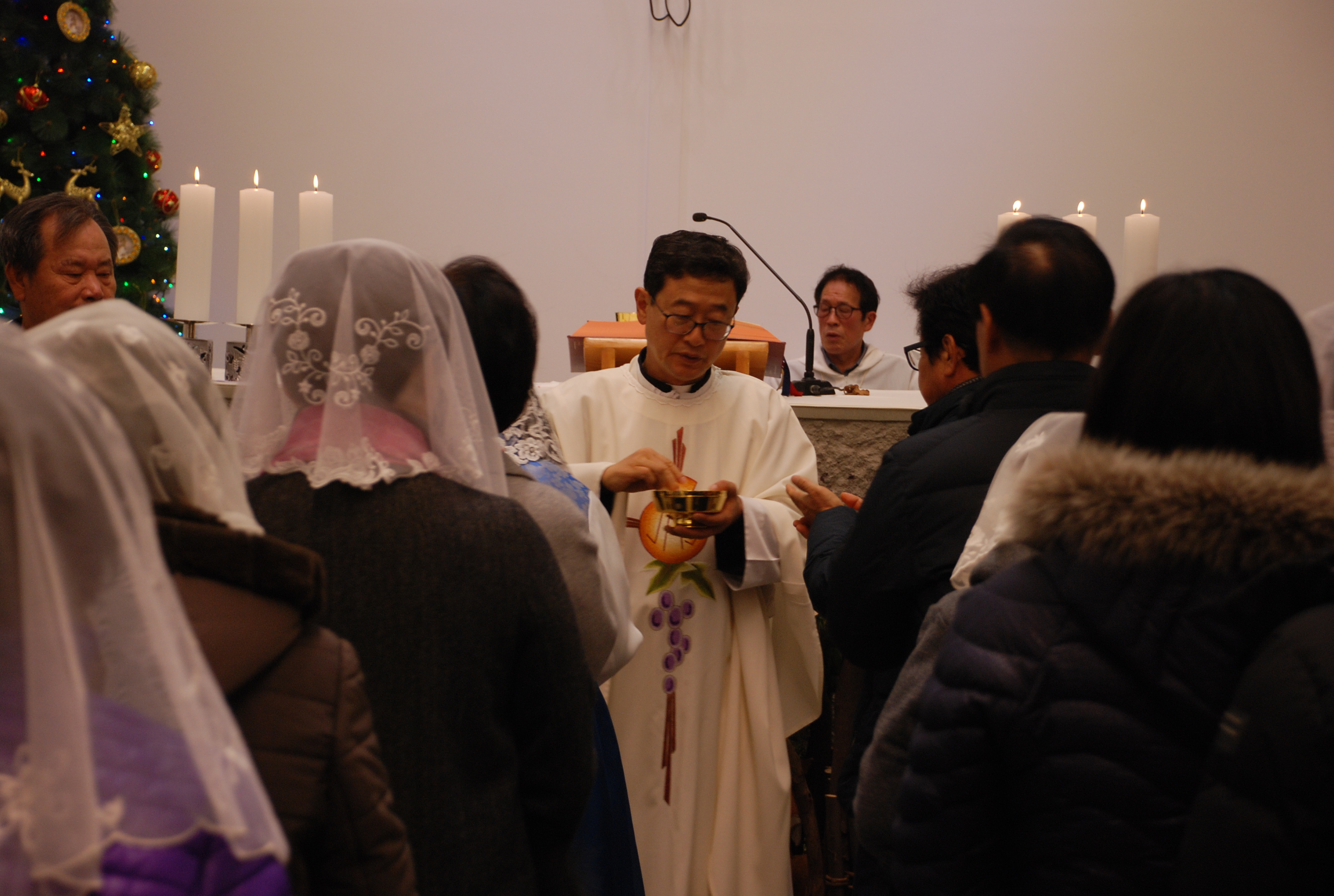 DSC_1635.JPG