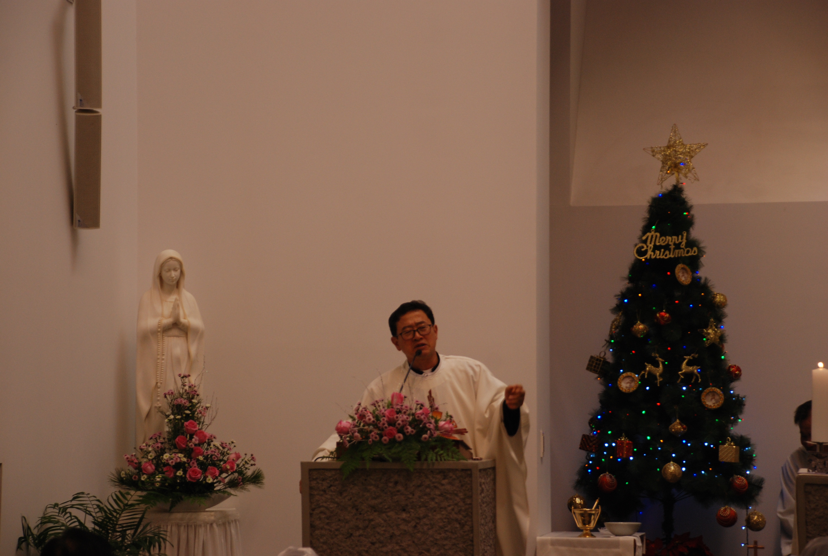 DSC_1613.JPG
