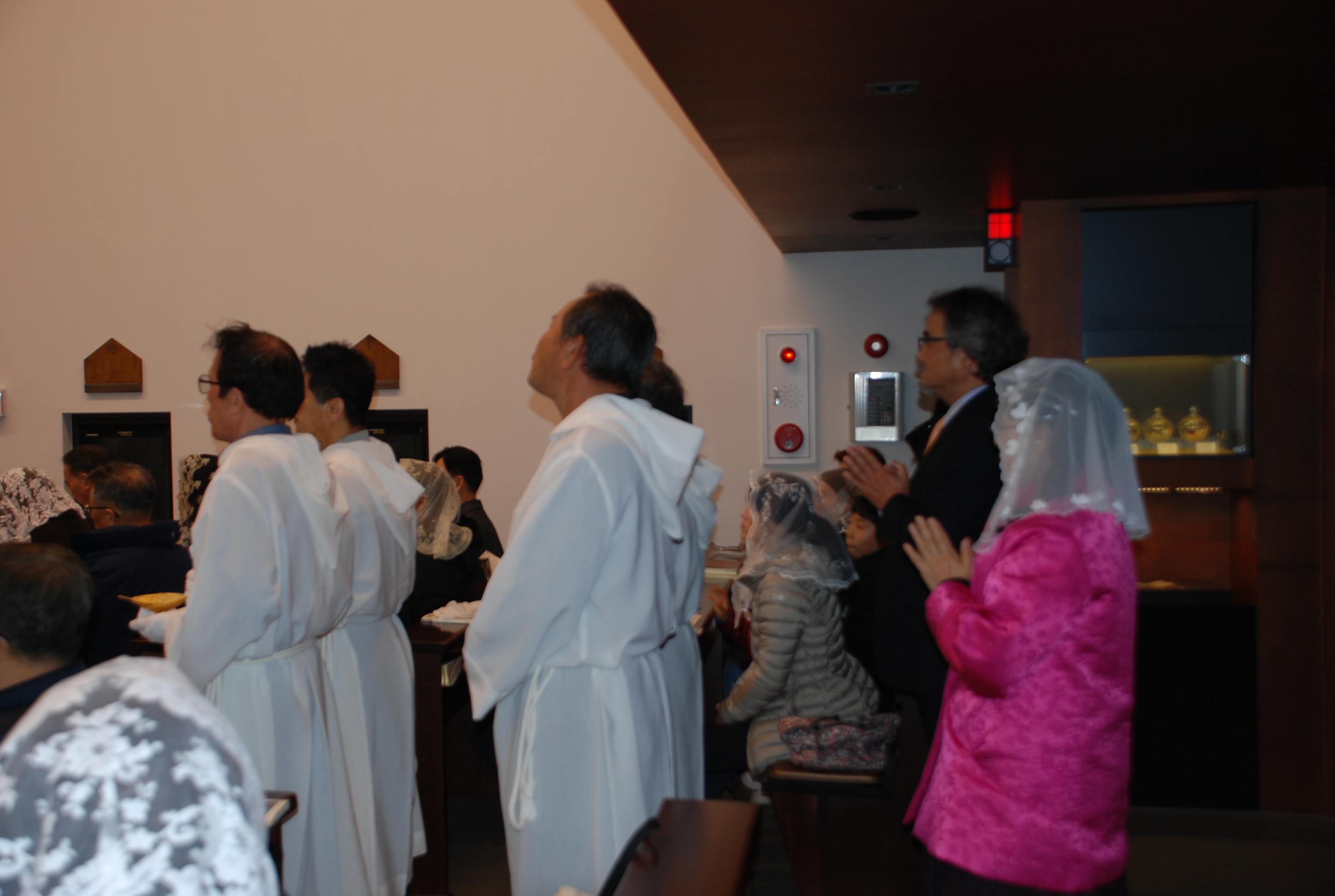 DSC_1588.JPG