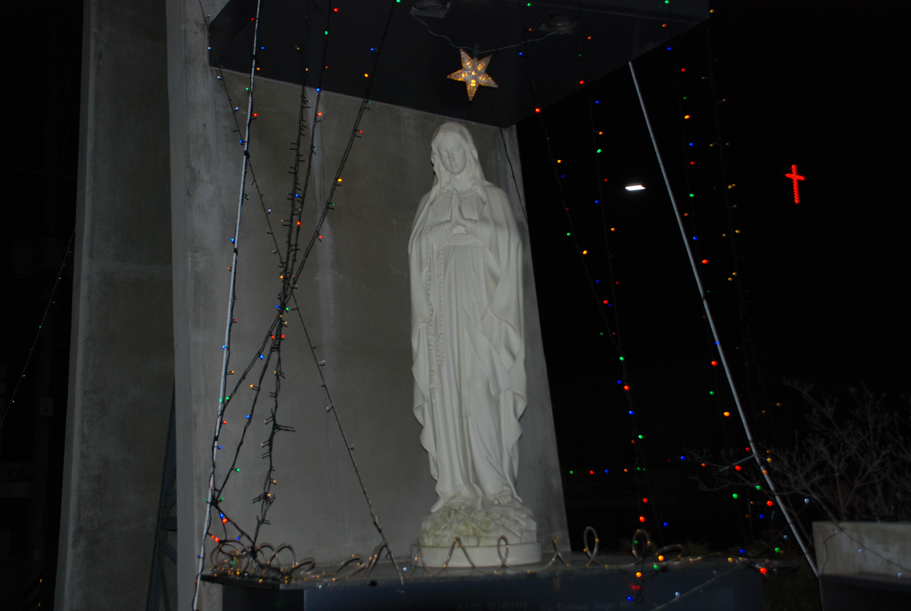 DSC_1573.JPG
