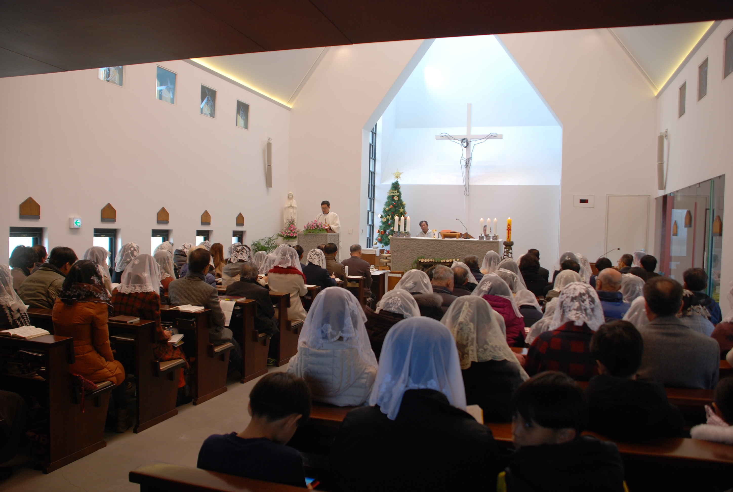DSC_1663.JPG
