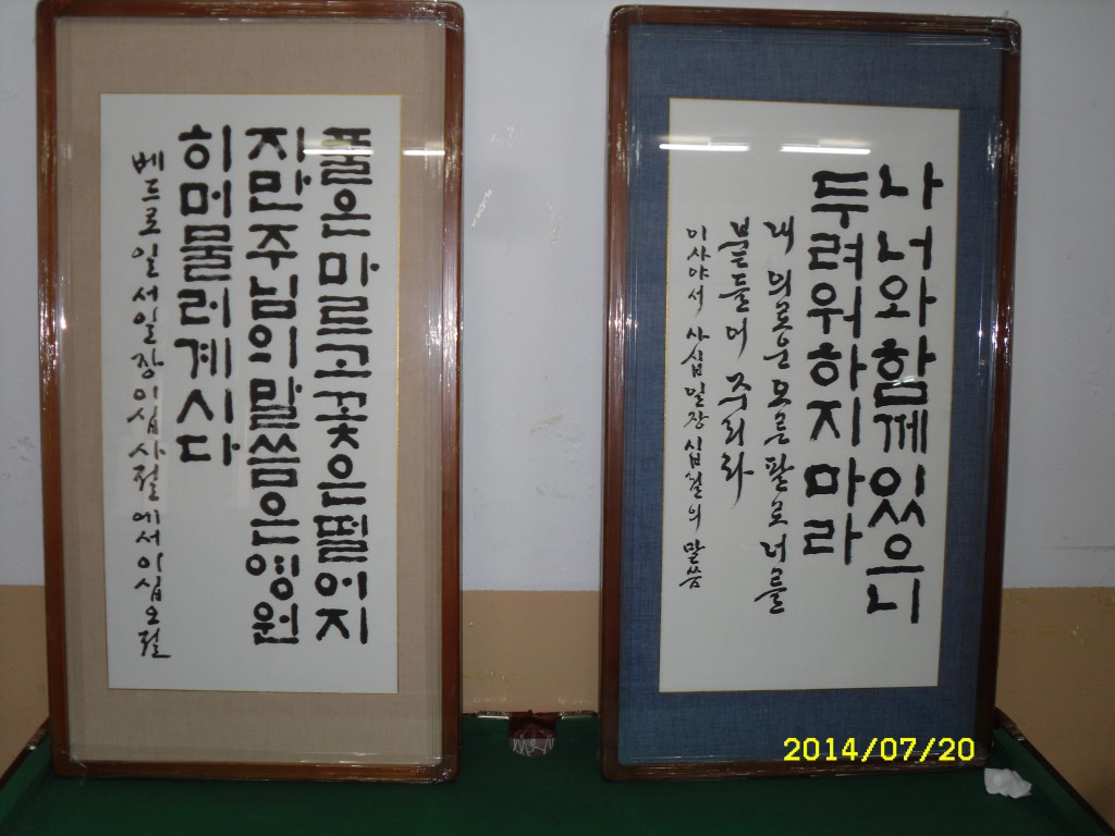 SDC14794.JPG