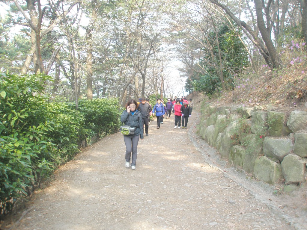 P1010297.JPG