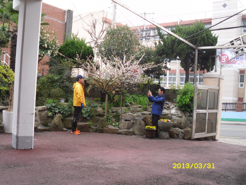 SDC15415.JPG