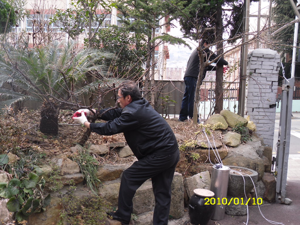 IMG 10-12.JPG
