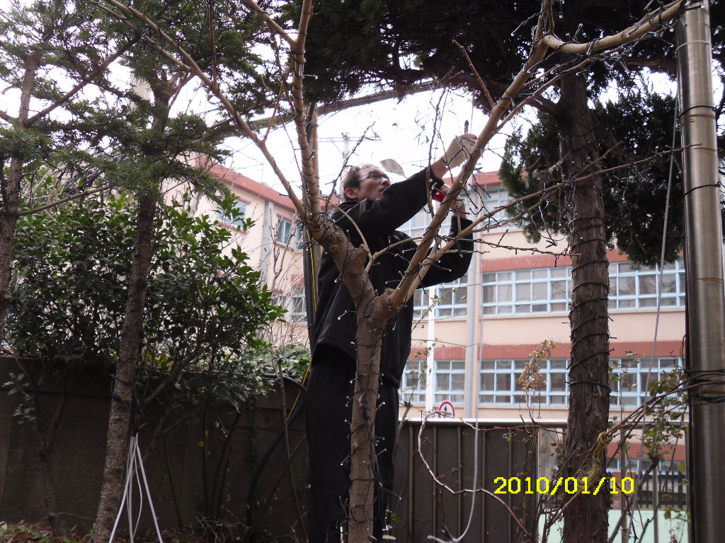 IMG 10-11.JPG