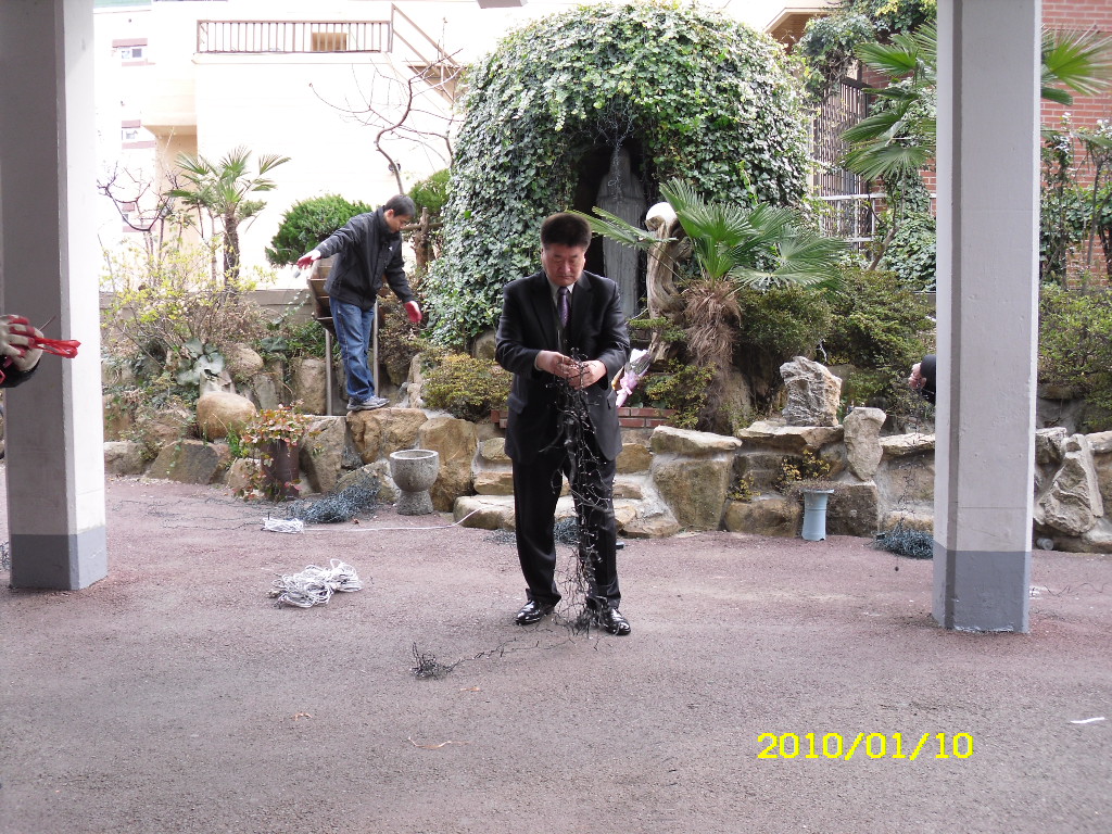 IMG 10-15.JPG