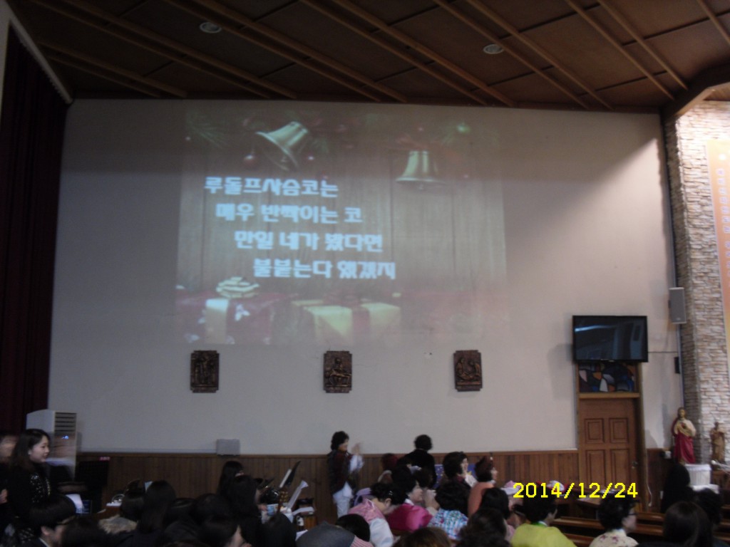 SDC17614.JPG