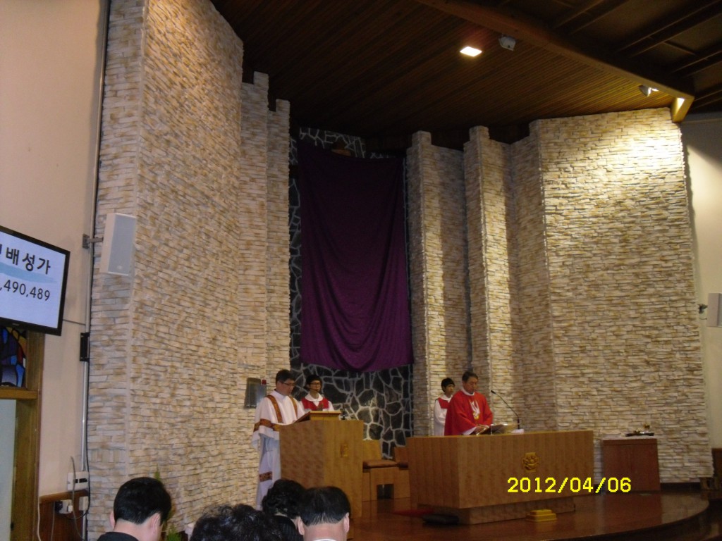 SDC19587.JPG