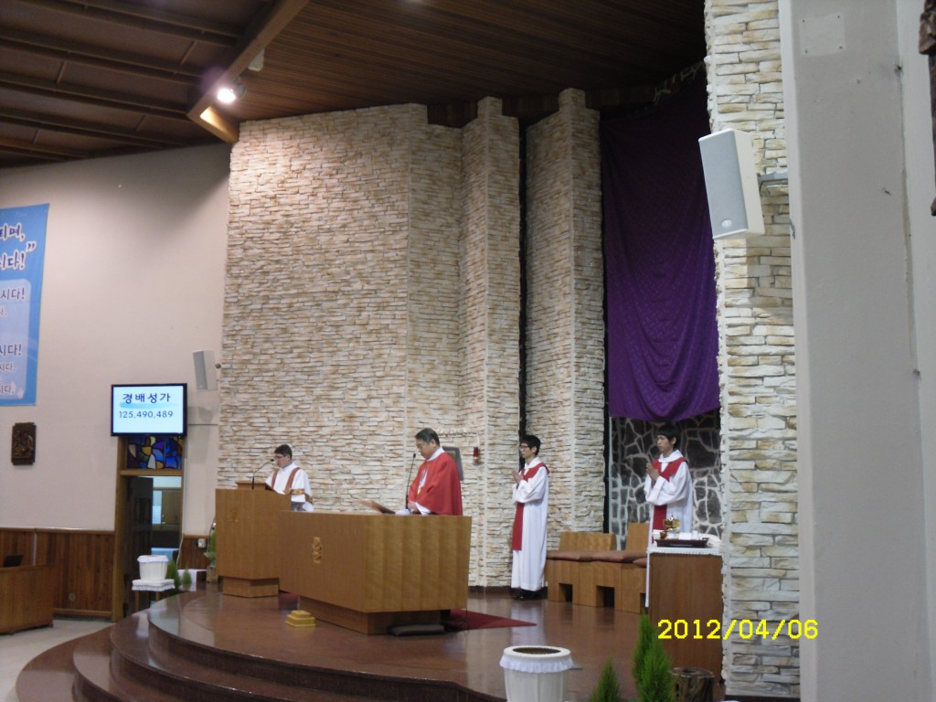 SDC19590.JPG