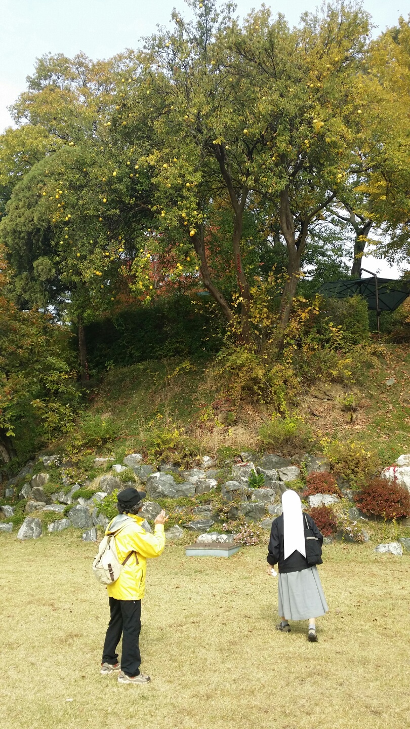 KakaoTalk_20141102_192418900.jpg