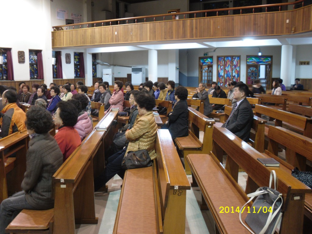SDC16526.JPG