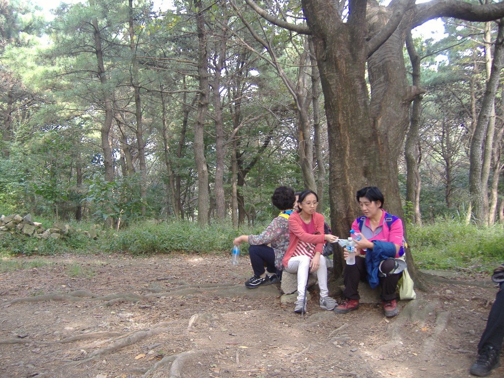 DSCF0366.JPG