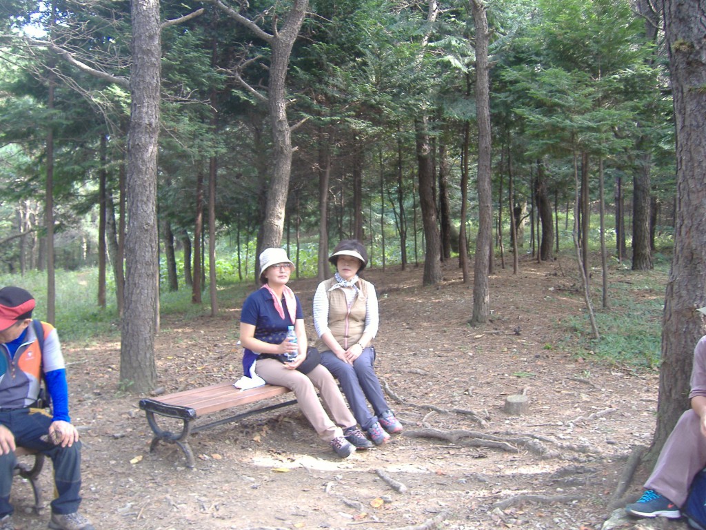 DSCF0363.JPG