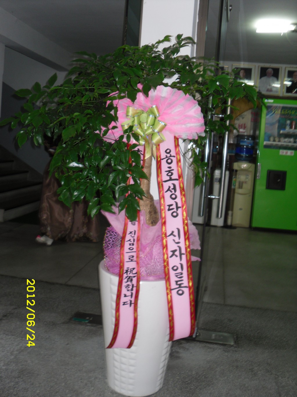 SDC10004.JPG
