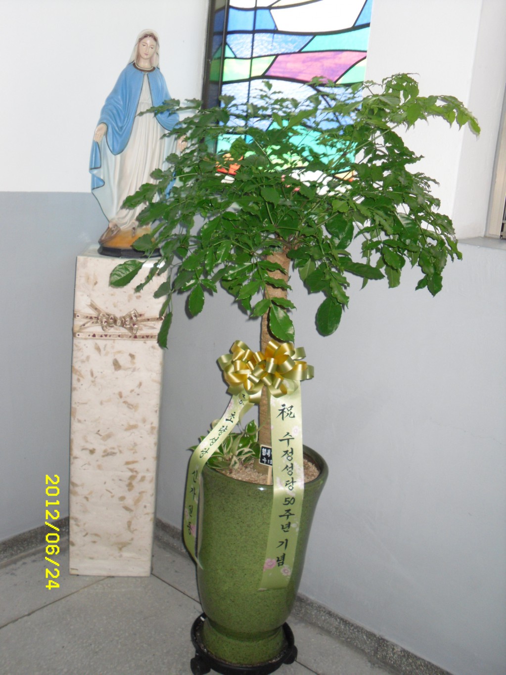 SDC10003.JPG