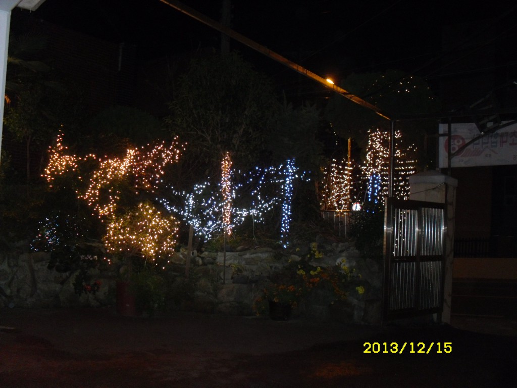 SDC10289.JPG
