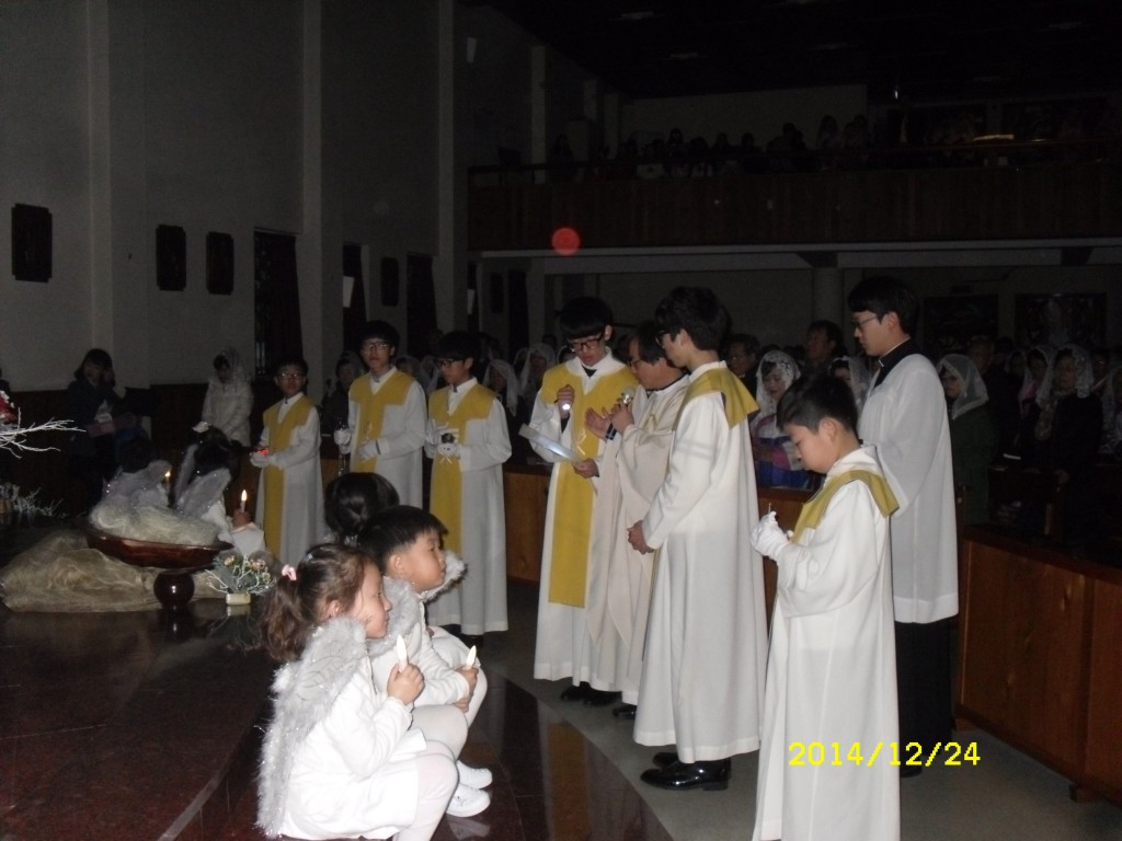 SDC17662.JPG