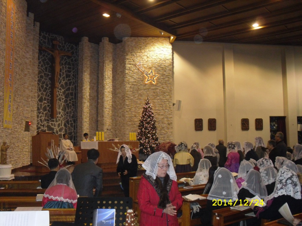 SDC17673.JPG