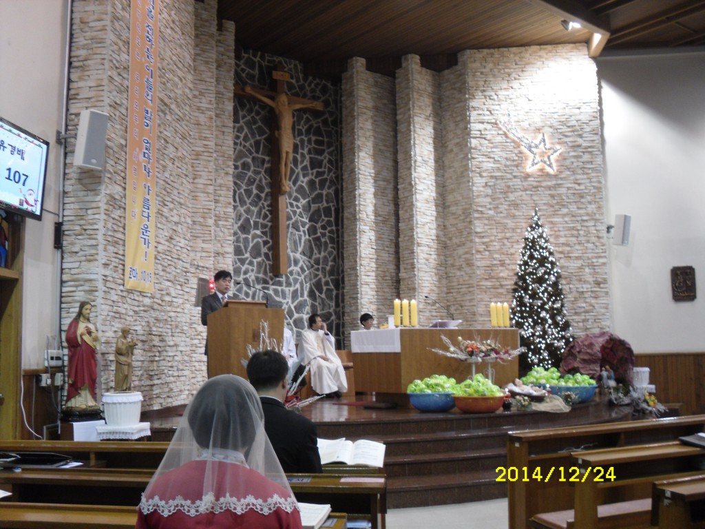 SDC17696.JPG