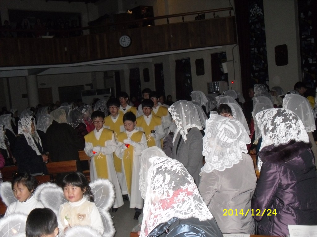 SDC17658.JPG