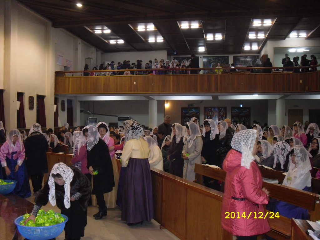 SDC17671.JPG