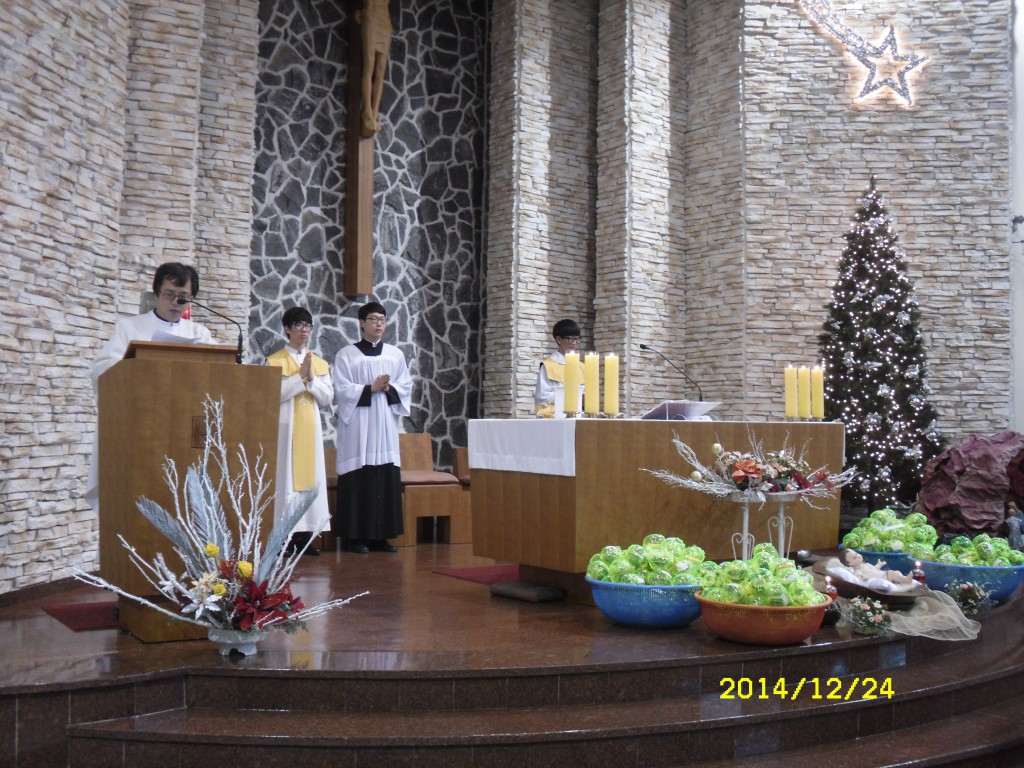 SDC17692.JPG