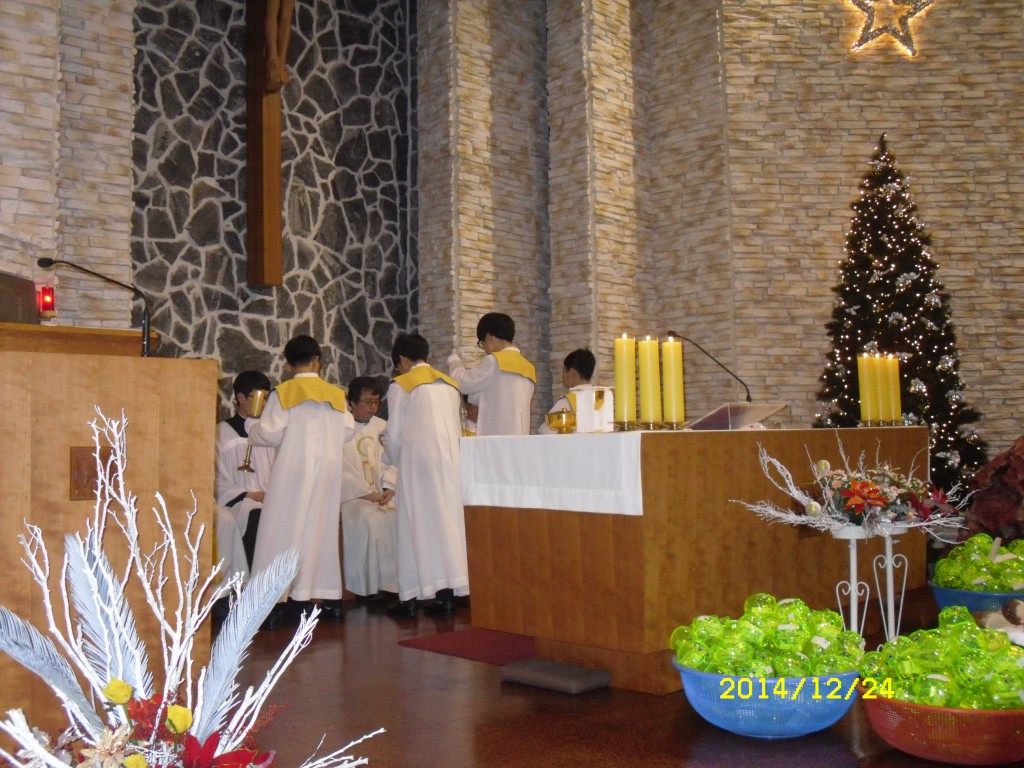 SDC17699.JPG