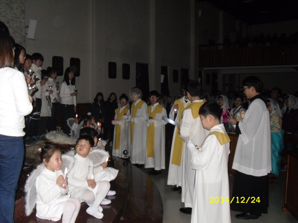SDC17659.JPG
