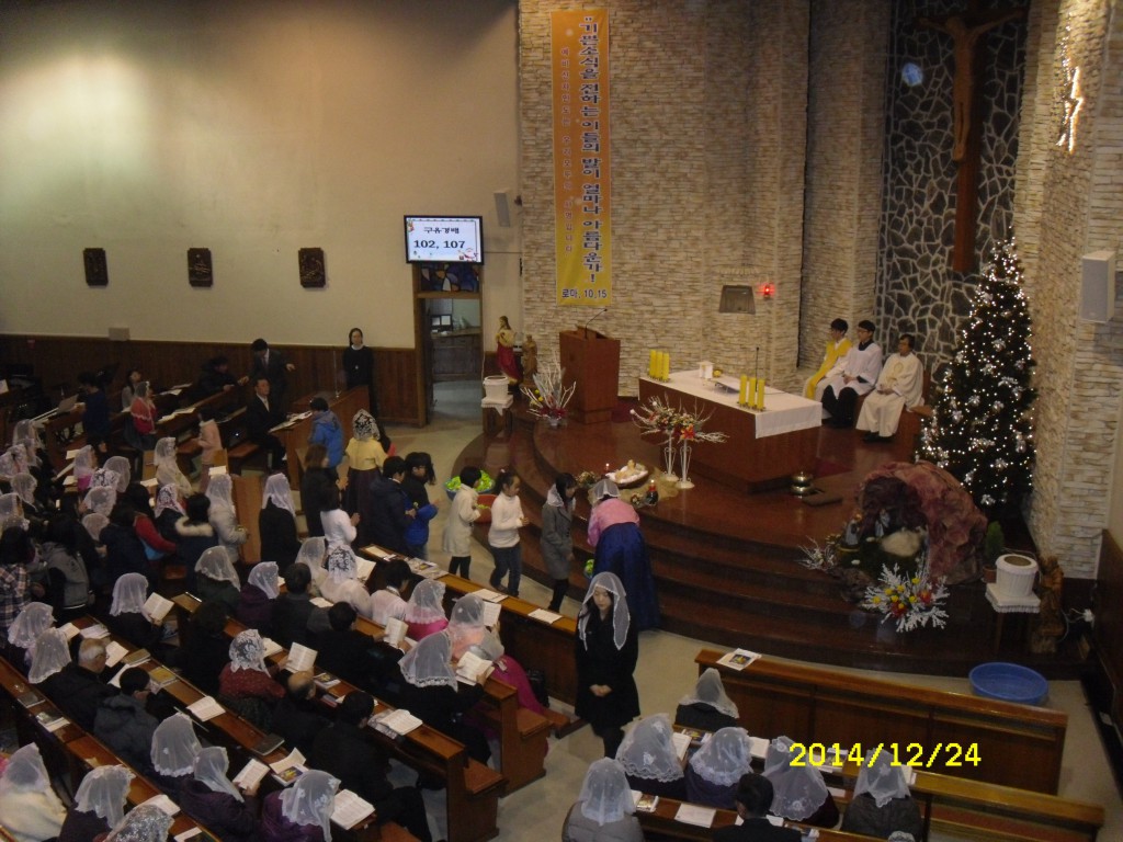 SDC17677.JPG