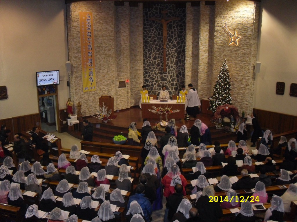 SDC17682.JPG