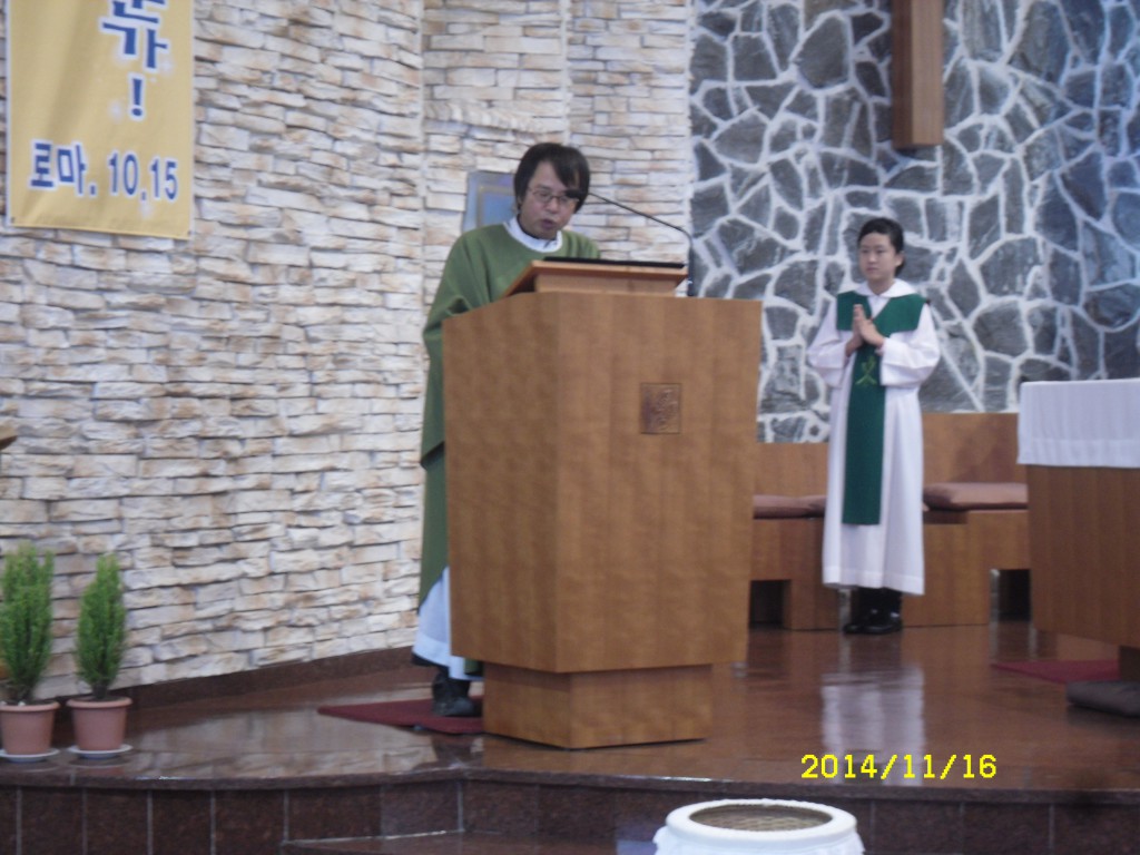 SDC16668.JPG