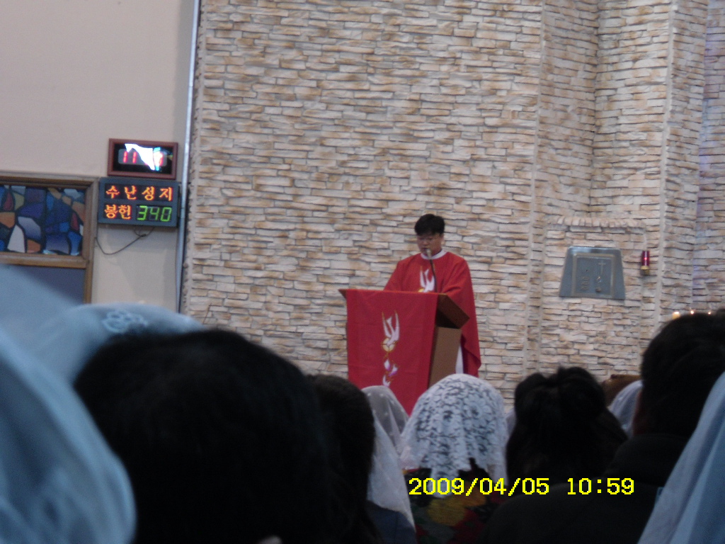 IMG 09-129.JPG