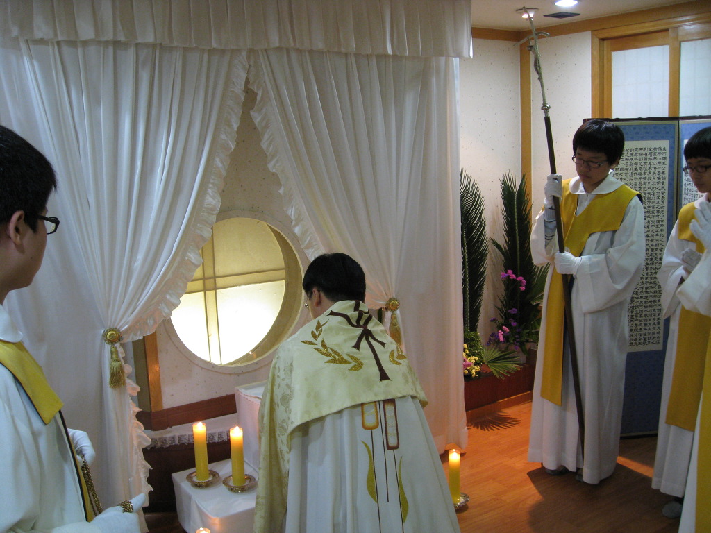 IMG 09-137.JPG