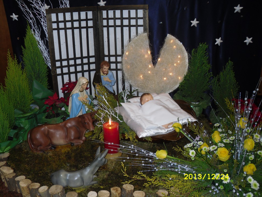 SDC10516.JPG