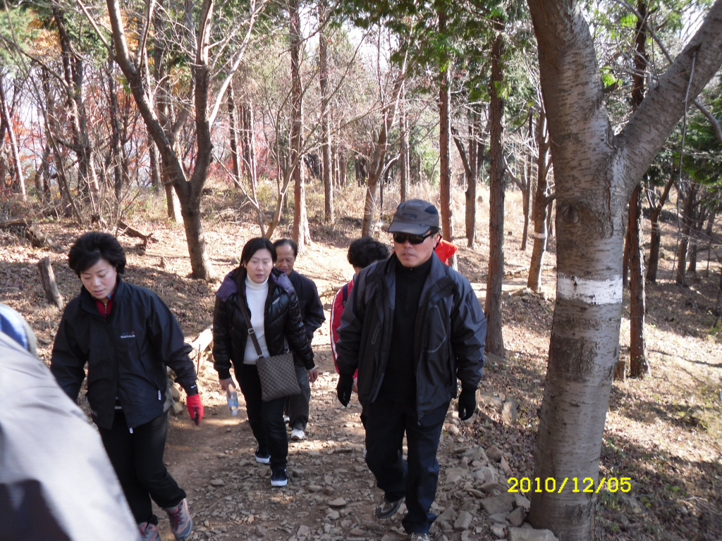 IMG 10-465.JPG