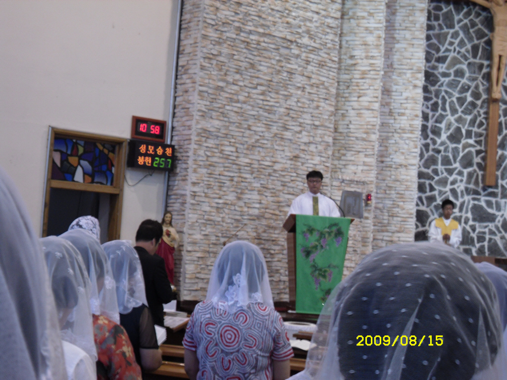 IMG 09-433.JPG
