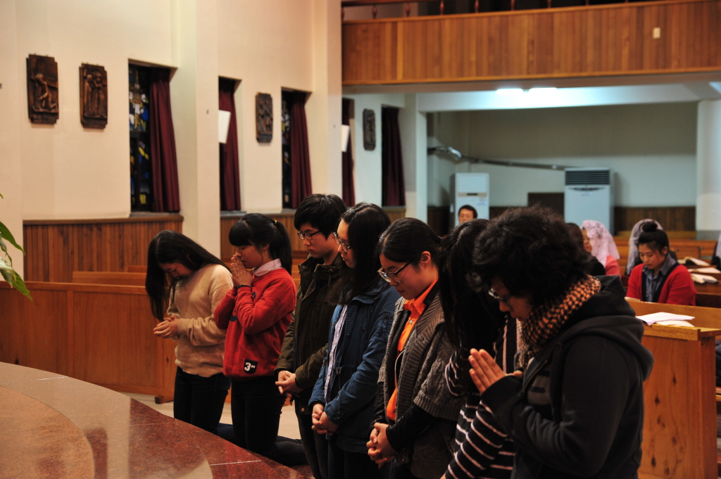 1DSC_8623.JPG