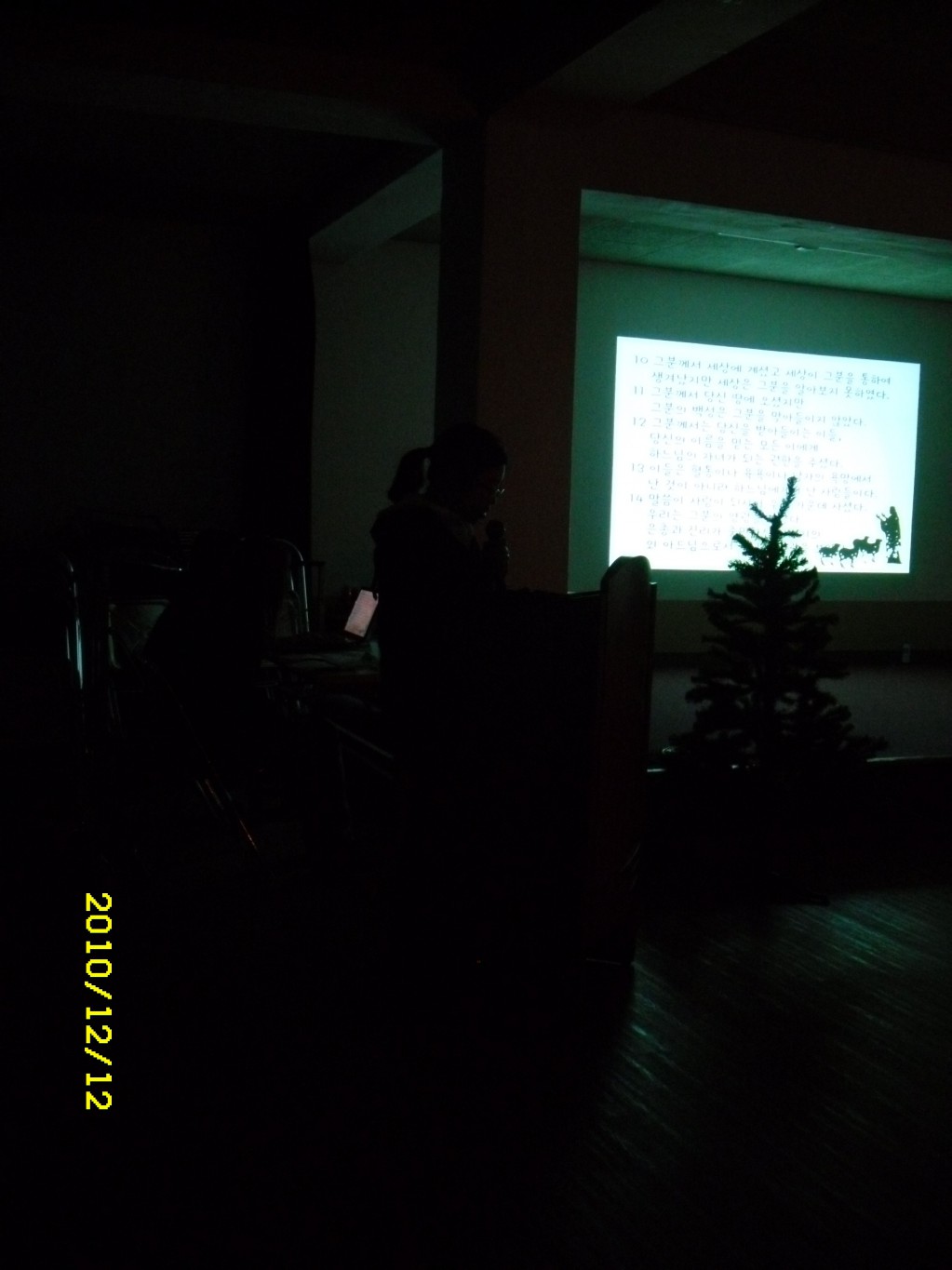 SDC11780.JPG