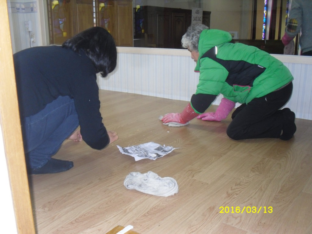 SDC12554.JPG
