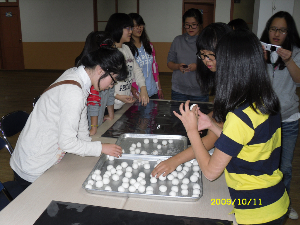 IMG 09-464.JPG