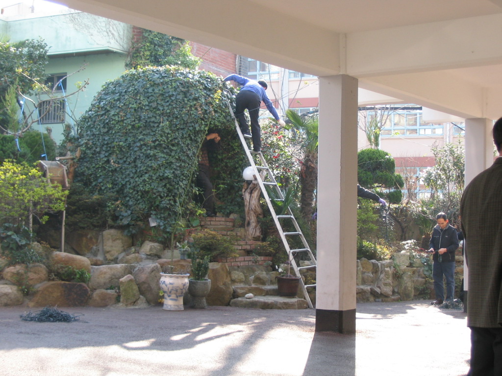 IMG 08-1.jpg