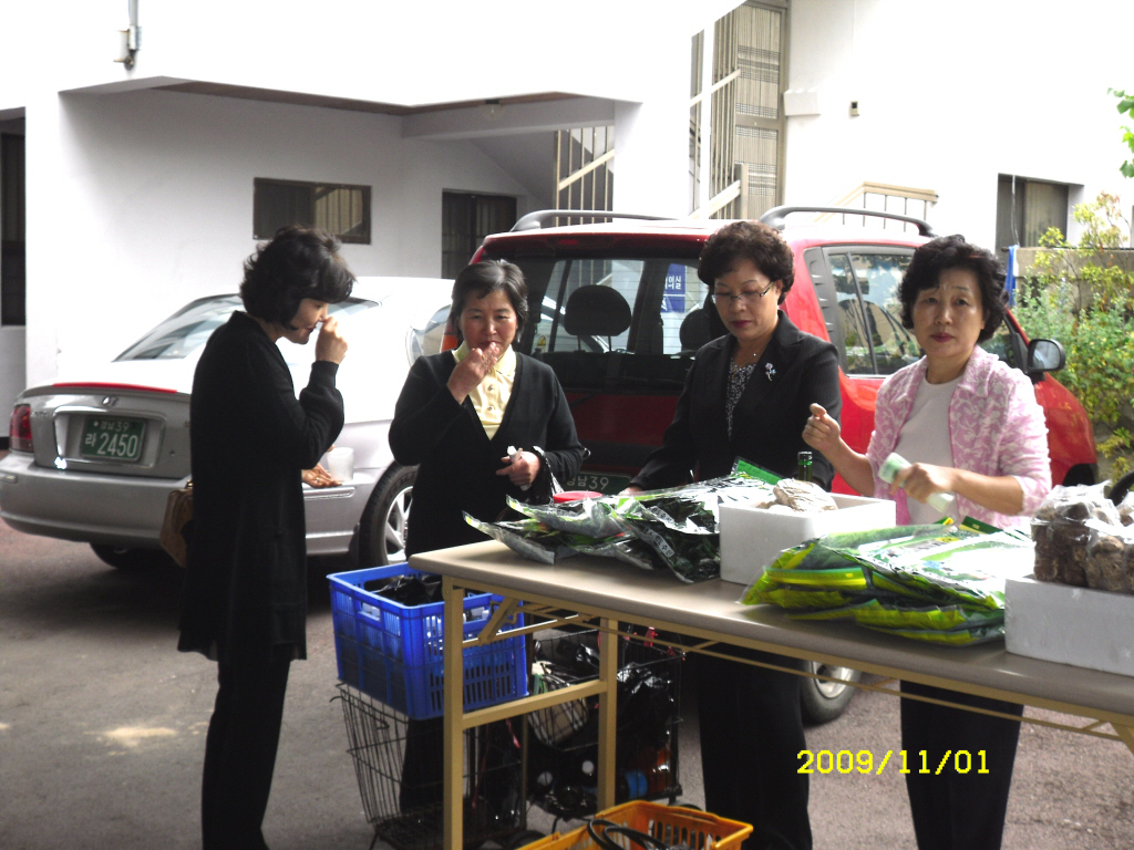 IMG 09-482.JPG