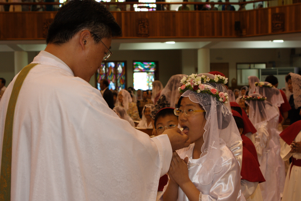 img 07-231.jpg