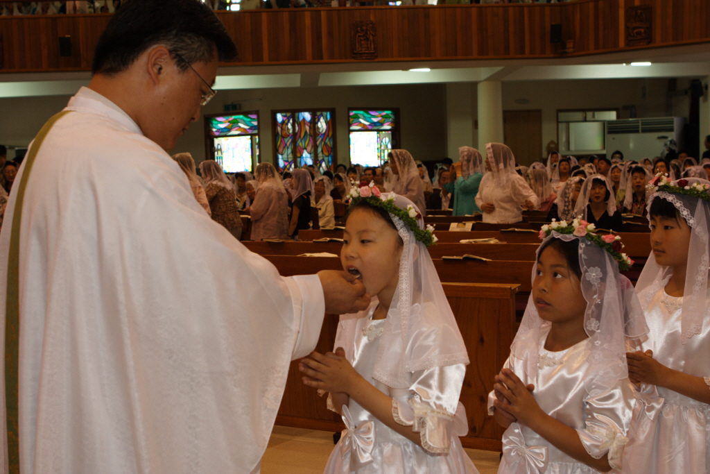 img 07-227.jpg