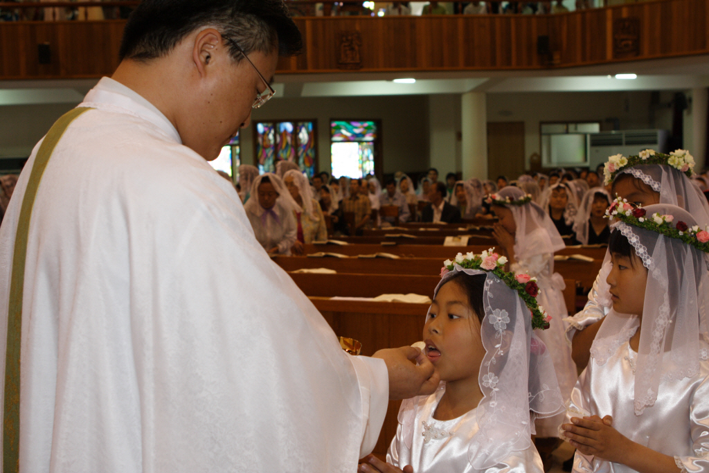 img 07-229.jpg
